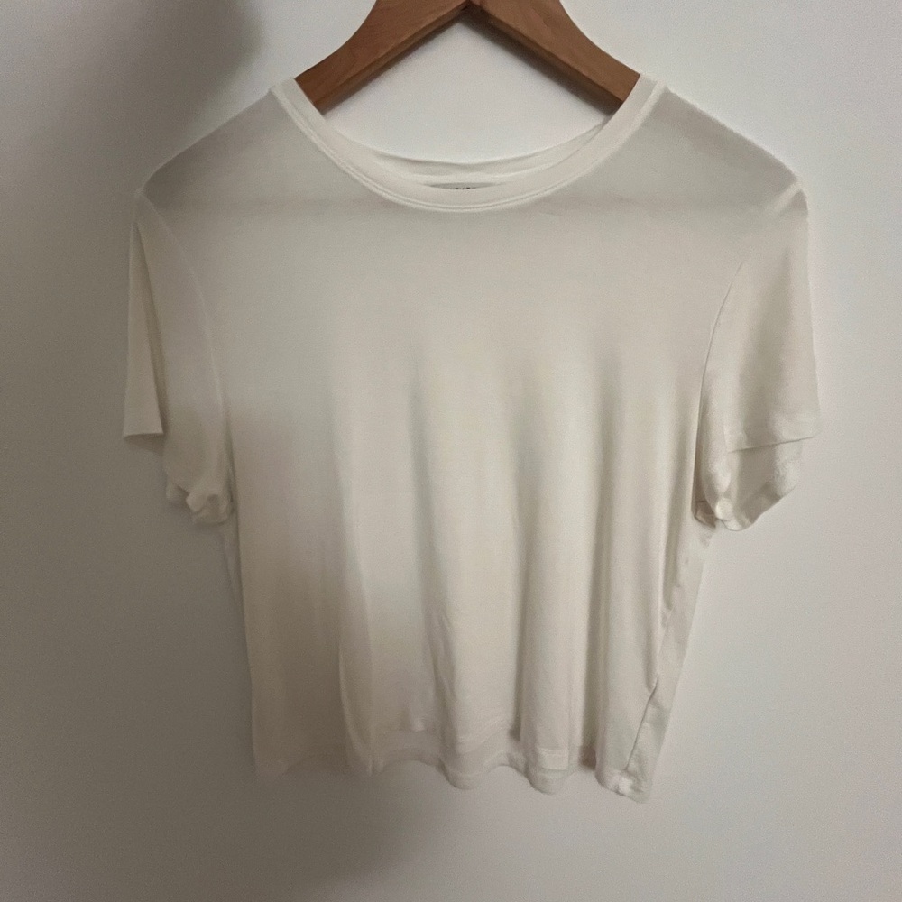 Aritzia Babaton Tee